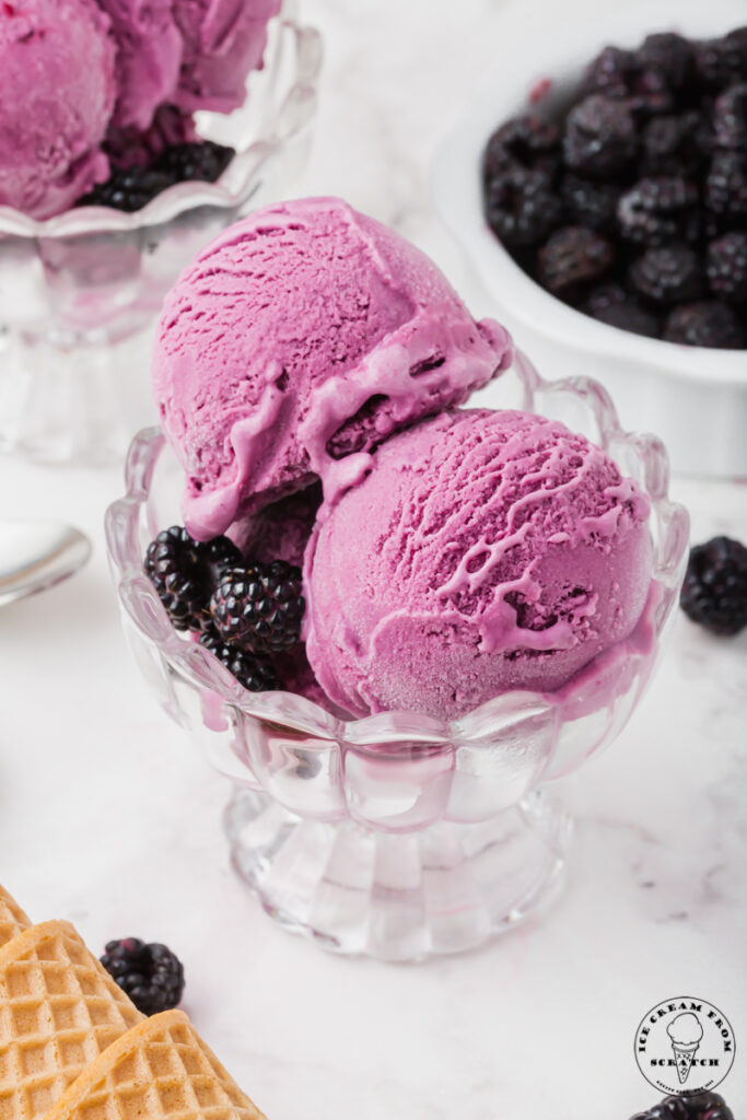 three scoops of purple, black raspberry ice cream in a scalloped glass ice cream dish with black raspberries for garnish.