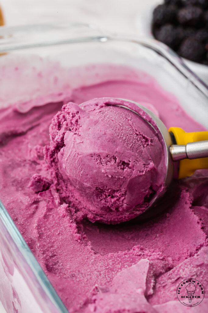 a glass dish filled with black raspberry ice cream, being scooped with an ice cream scoop.