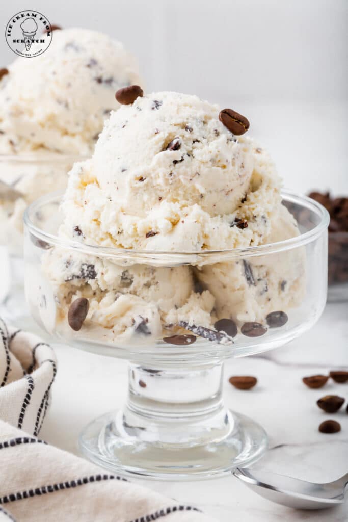 a glass ice cream dish filled with java chip ice cream, topped with coffee beans