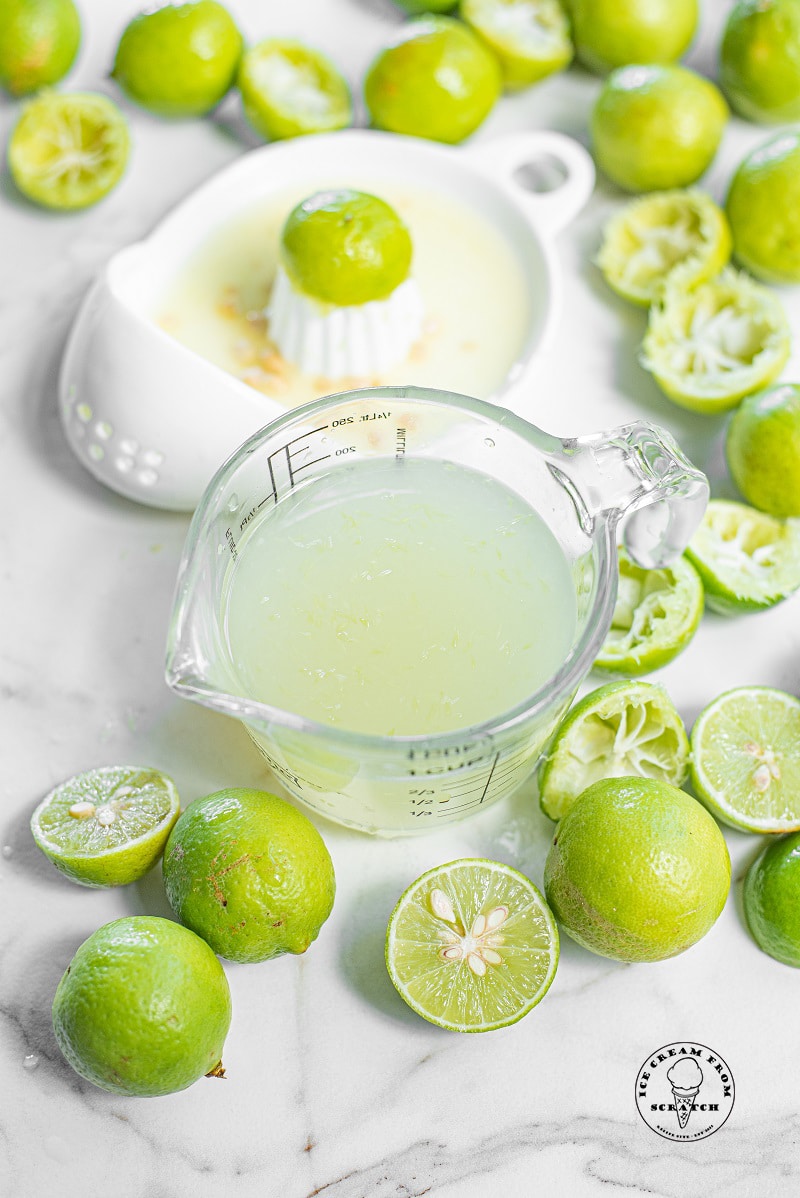 Homemade Lime Sorbet Recipe 3Ingredients Ice Cream From Scratch