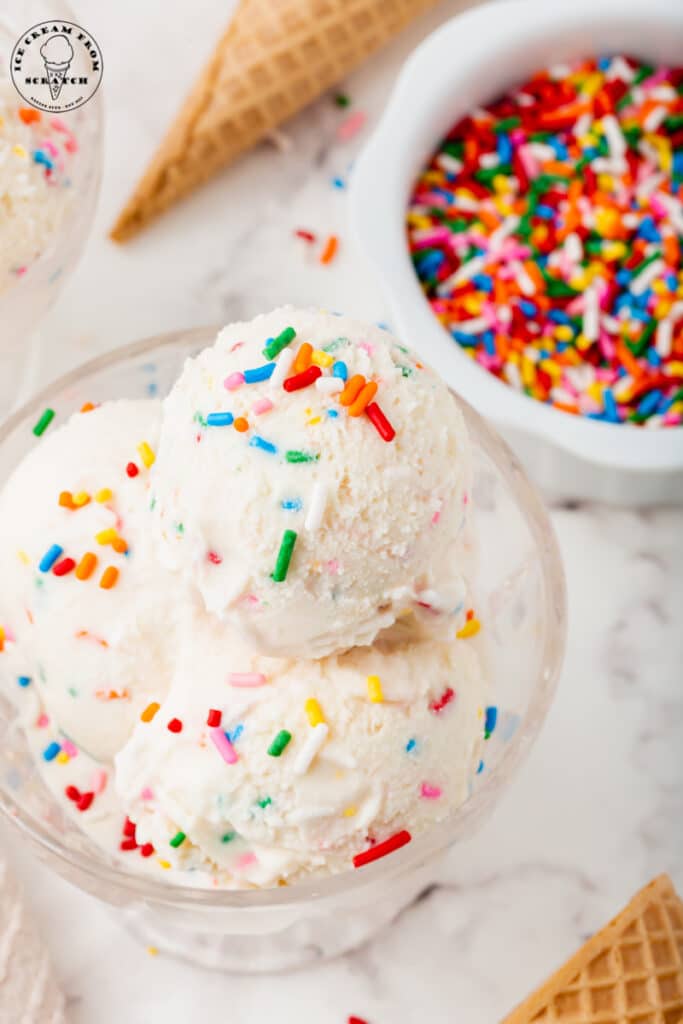 a dish of vanilla sprinkles ice cream next to a bowl of rainbow sprinkles.