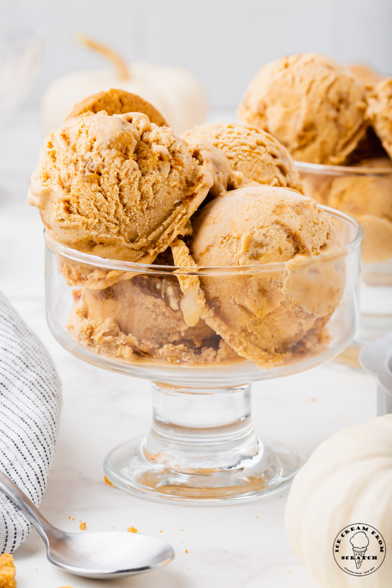 https://icecreamfromscratch.com/wp-content/uploads/2021/09/Pumpkin-Pie-Ice-Cream-1.2.jpg