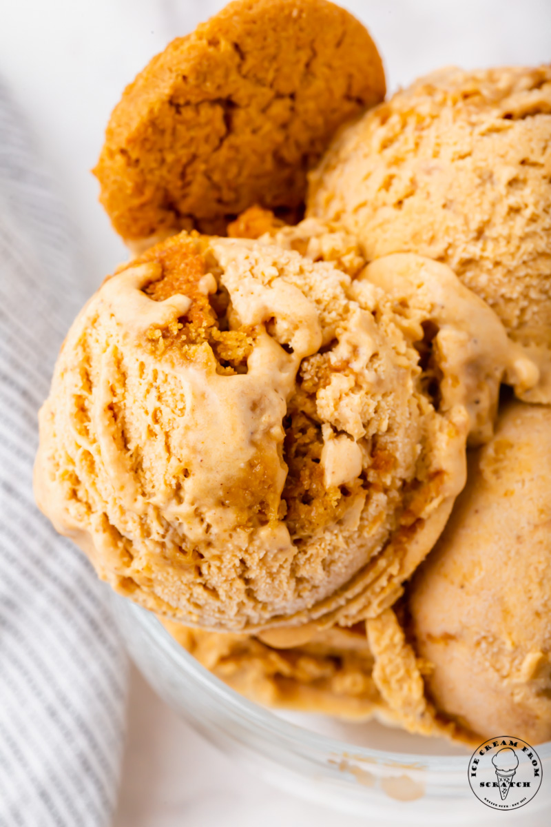 Closeup view of pumpkin pie ice cream in a dish, with a cookie on the side.