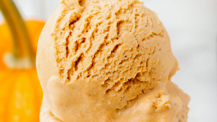 Non-Dairy Pumpkin Spice Ice Cream (Ninja CREAMi Recipe) - The Mama Maven  Blog