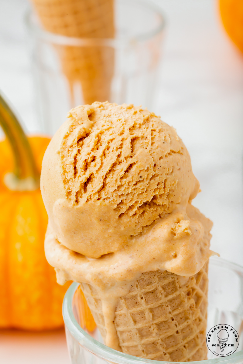 Pumpkin Ice Cream – A Couple Cooks