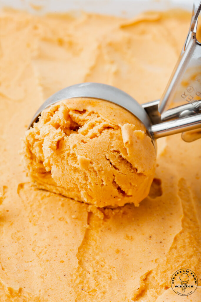 closeup view of pumpkin spice ice cream, being scooped by a metal ice cream scoop