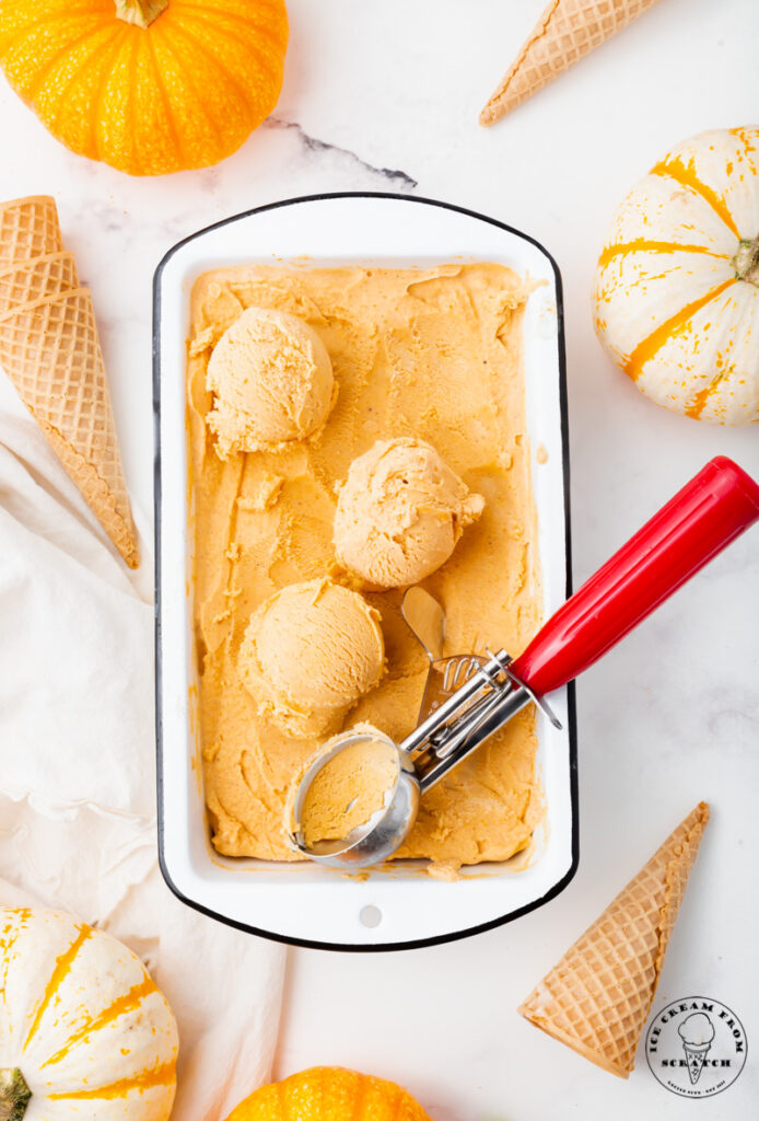 a white loaf pan filled with pumpkin spice ice cream, three scoops have been made with a red an silver ice cream scoop. Surrounding the pan are small white and orange pumpkins, and sugar cones.