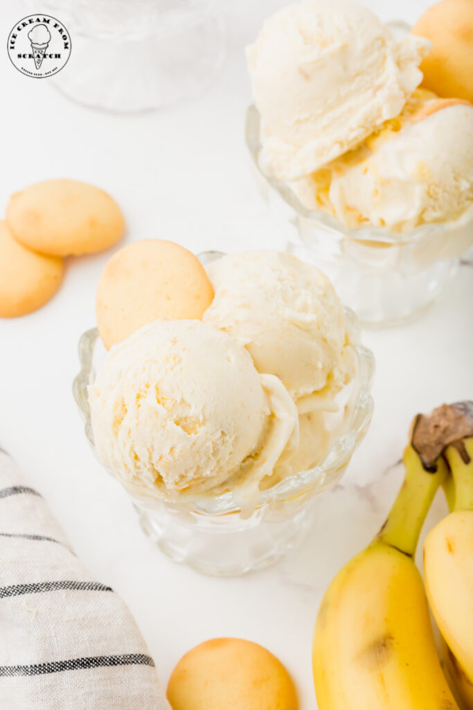 two glass ice cream dishes filled with scoops of banana pudding ice cream and garnished with whole vanilla wafers.