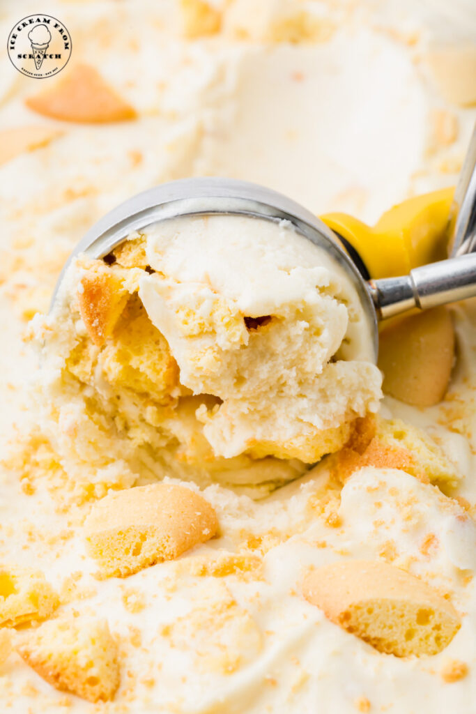 a metal ice cream scoop scooping banana ice crema with vanilla wafer cookies.