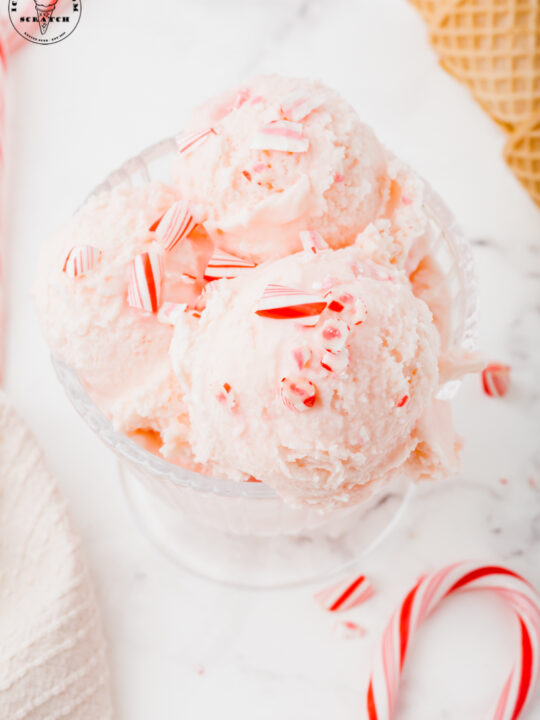 Candy Cane Ice Cream in a Bag Recipe