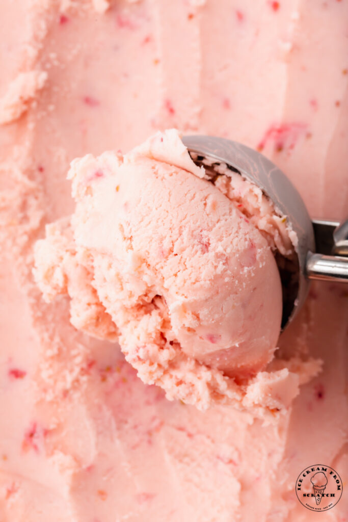 closeup view of a metal ice cream scoop making scoops of strawberry ice cream.