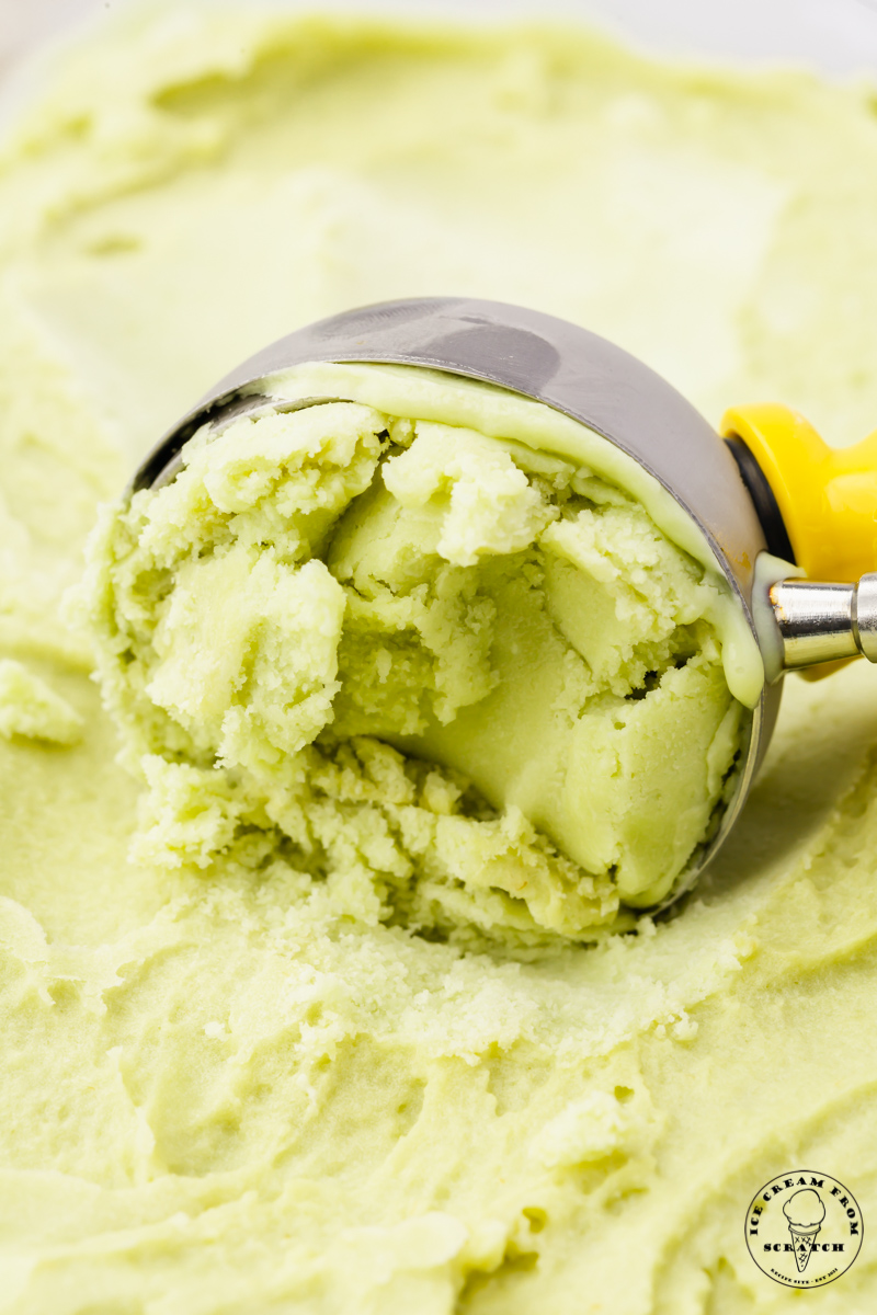 avocado ice cream being scooped with a metal ice cream scoop, close up view