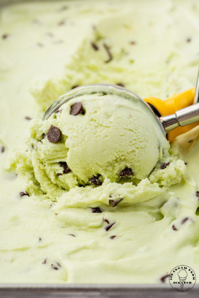 Closeup view of chocolate chip mint ice cream being scooped with a metal ice cream scoop.