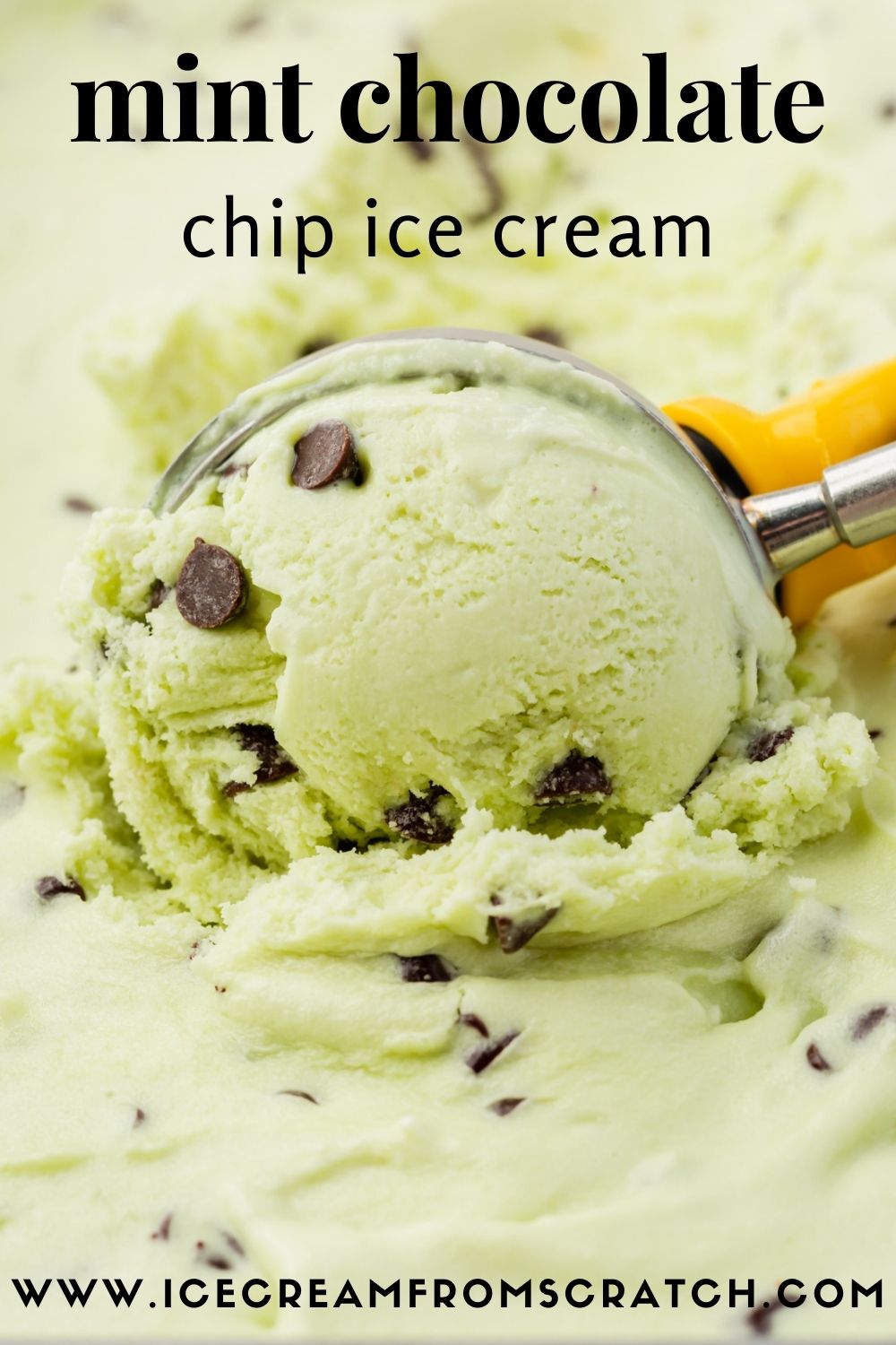 chocolate chip mint ice cream being scooped with a metal ice cream scoop. Text at the top of the photo says, mint chocolate chip ice cream.