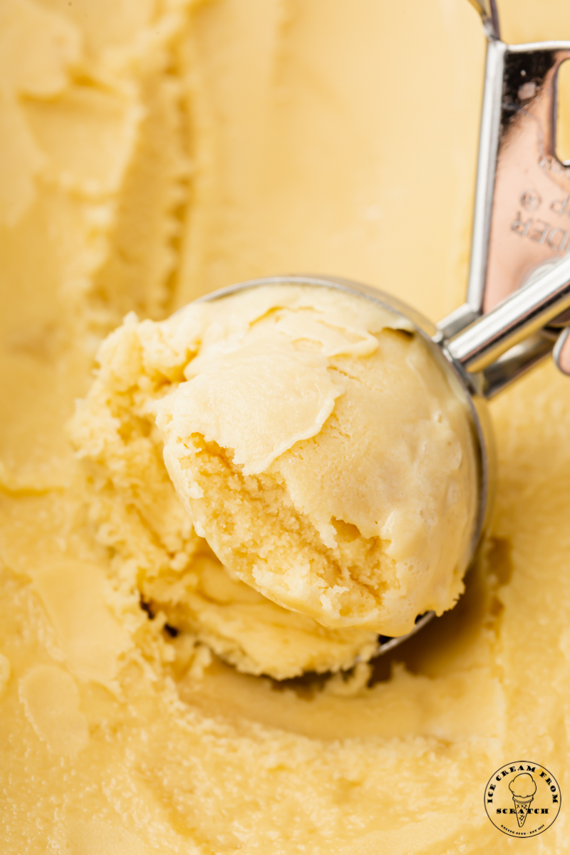 closeup view of homemade oat milk ice cream, being scooped with a metal ice cream scooper.