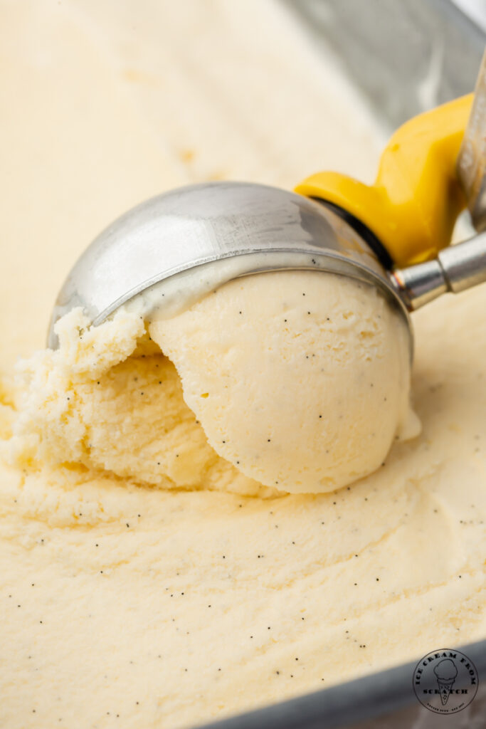 closeup of a pan of homemade vanilla bean ice cream being scooped with a metal scoop.