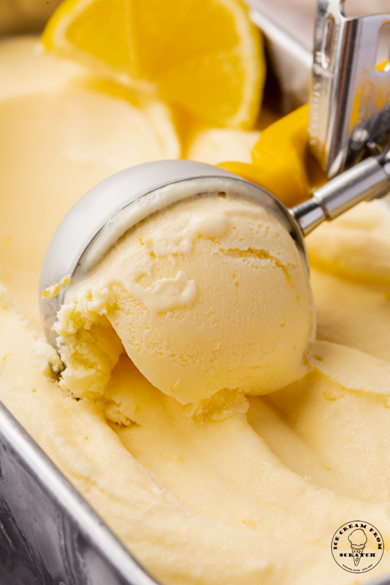 Homemade lemon ice cream, a pale yellow color, being scooped with a metal ice cream scoop, closeup view.