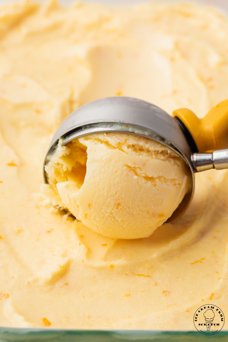 an ice cream scoop serving orange ice cream with zest.