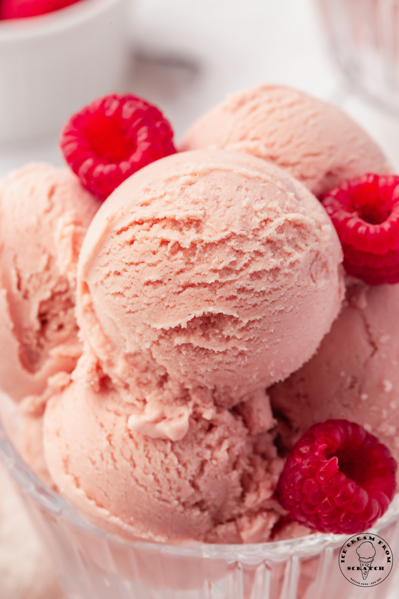 Closeup of scoops of homemade raspberry ice cream and red raspberries.