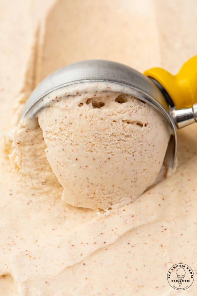 a metal ice cream scoop serving homemade cinnamon ice cream