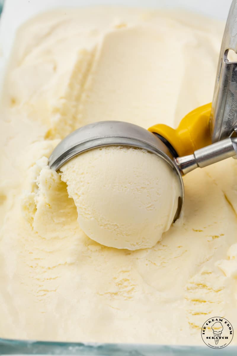 a metal ice cream scoop scooping through homemade sage ice cream