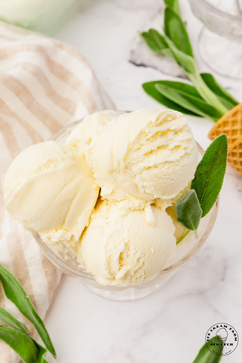 a bowl of scoops of sage ice cream, garnished with fresh sage herb leaves
