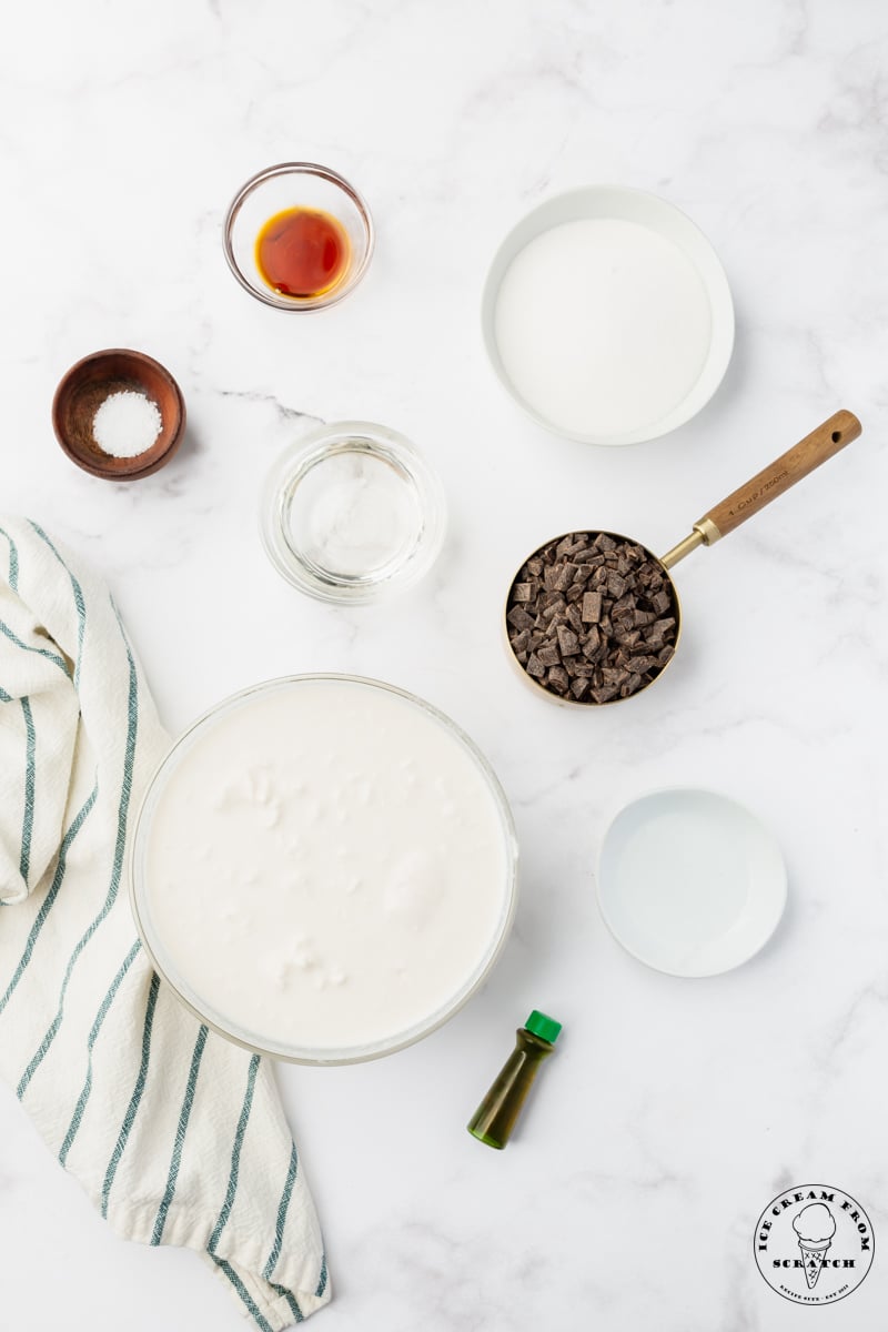 The ingredients needed to make coconut mint ice cream recipe, including coconut cream, chocolate chunks, green food coloring, mint extract.