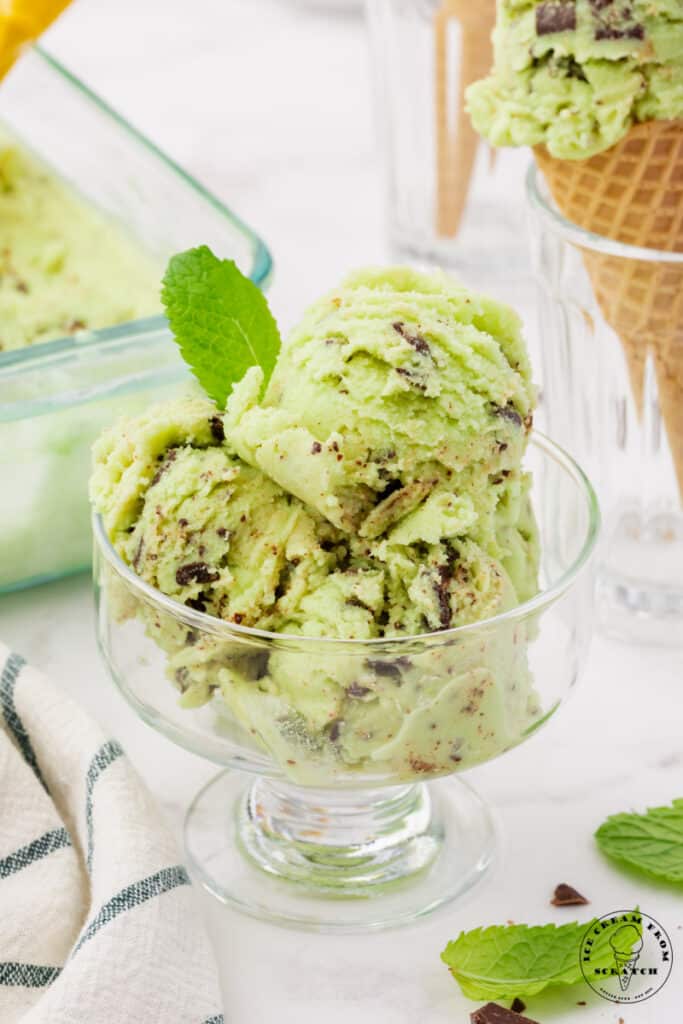 Coconut Mint Ice Cream - Ice Cream From Scratch