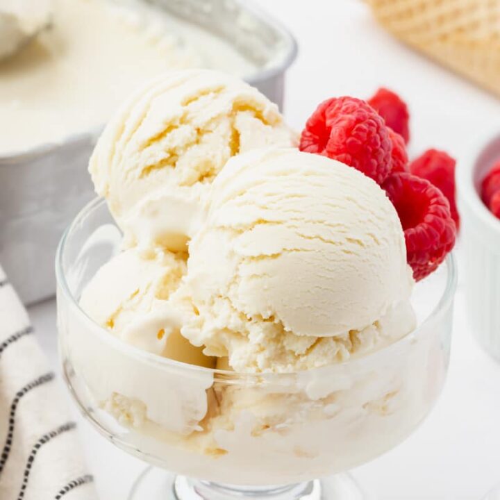 a footed glass dish filled with scooops of homemade frozen yogurt, garnished with fresh raspberries. In the background is a metal bread pan filled with frozen yogurt and a stack of ice cream cones.