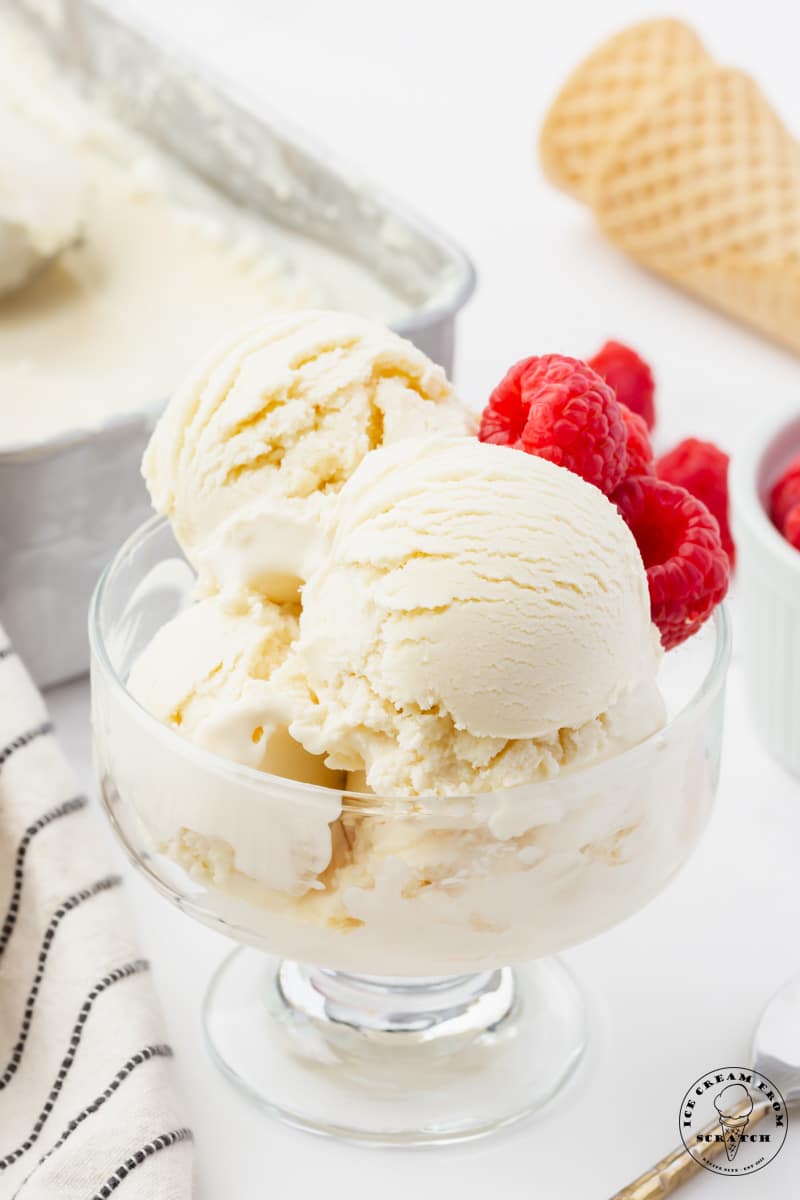 a footed glass dish filled with scooops of homemade frozen yogurt, garnished with fresh raspberries. In the background is a metal bread pan filled with frozen yogurt and a stack of ice cream cones.