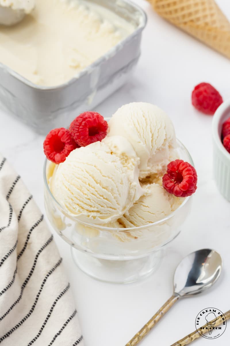 scoops of vanilla frozen yogurt in a glass ice crem dish, garnished with fresh raspberries.