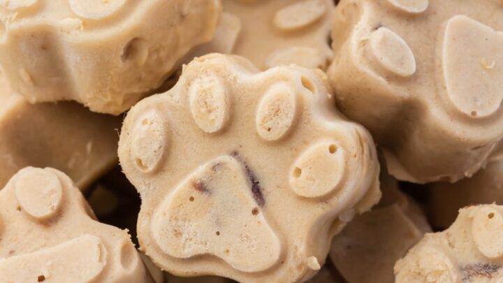 Dog ice cream recipe peanut outlet butter