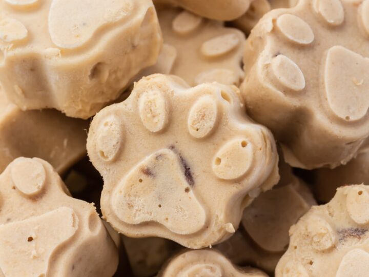 Peanut Butter Ice Cream for Dogs, HGTV Design Blog – Design Happens