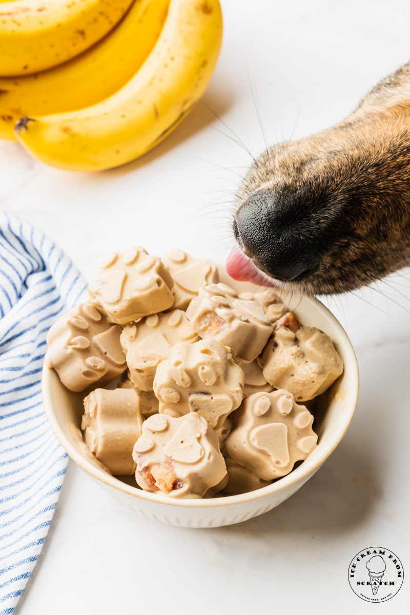 A bowl of dog ice cream treats shaped like paw prints. There are bananas in the background. A dog's nose is in the shot as well.
