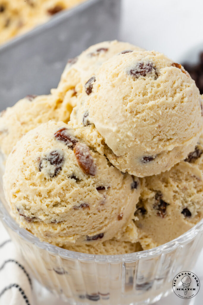 Rum Raisin Ice Cream - Ice Cream From Scratch