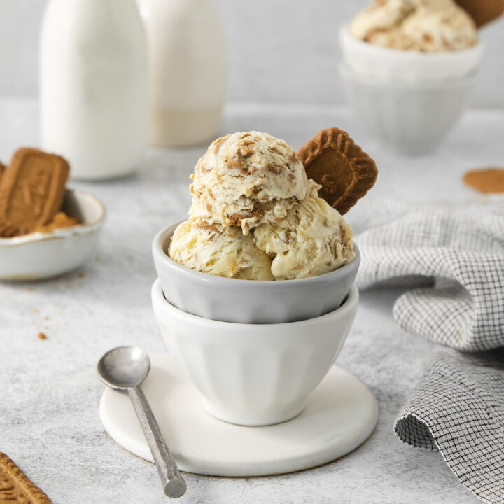 scoops of biscoff ice cream in a bowl with a biscoff cookie garnish.