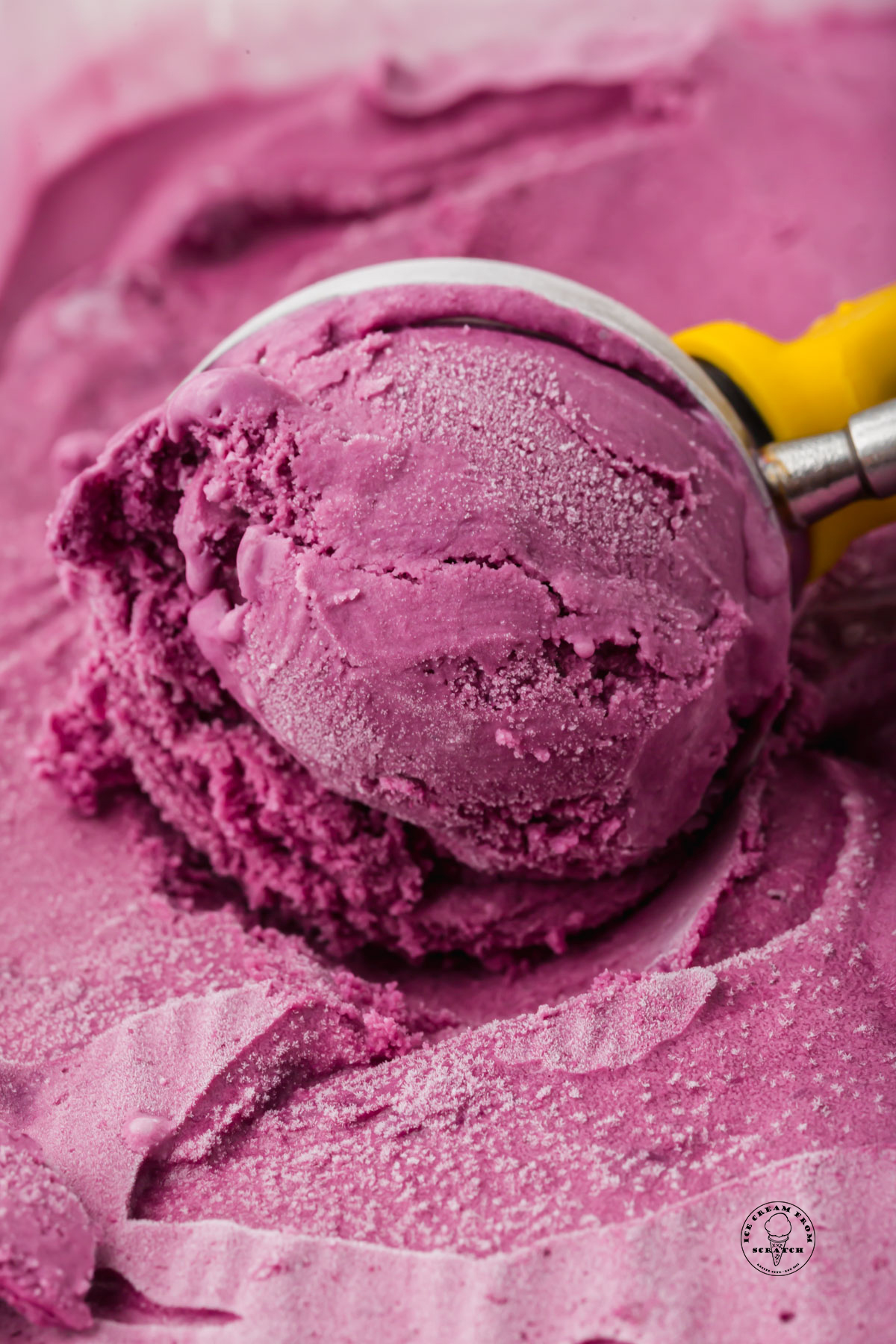 Closeup view of a scoop of homemade blackberry ice cream