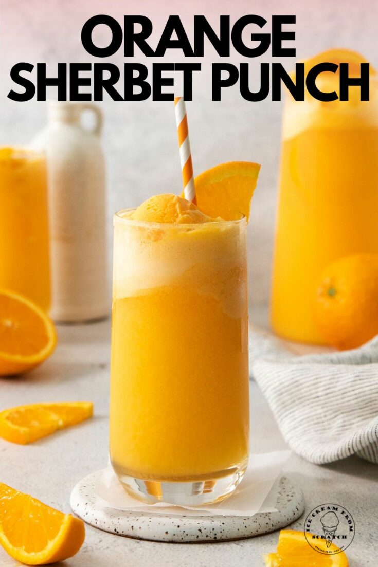 2-Ingredient Orange Sherbet Punch Recipe